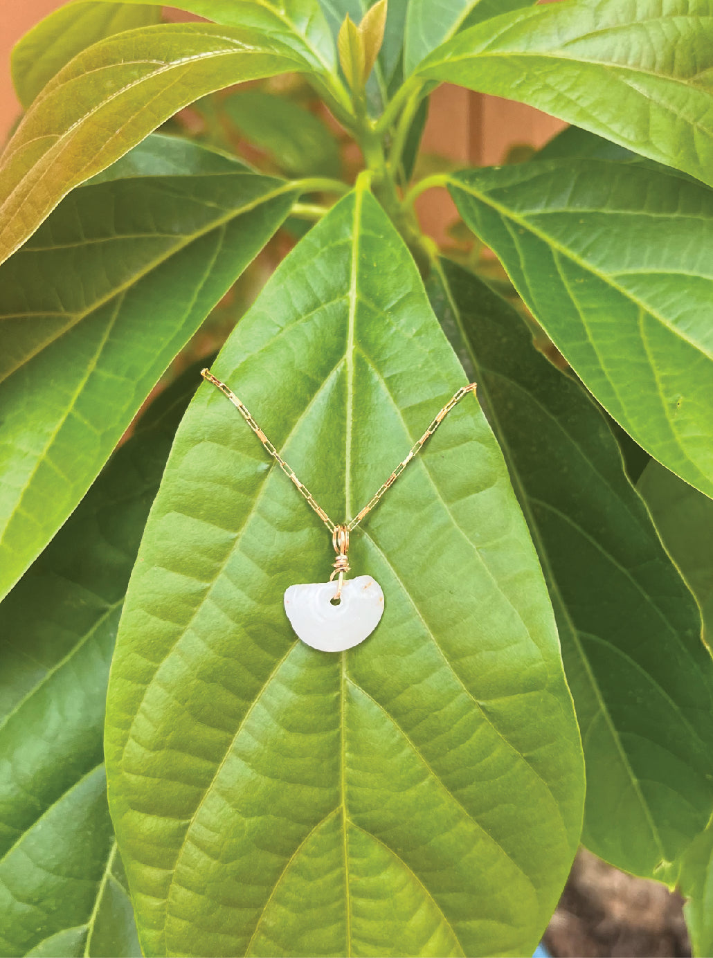 14Kt Gold Filled Chain with a Half a Puka Shell Necklace