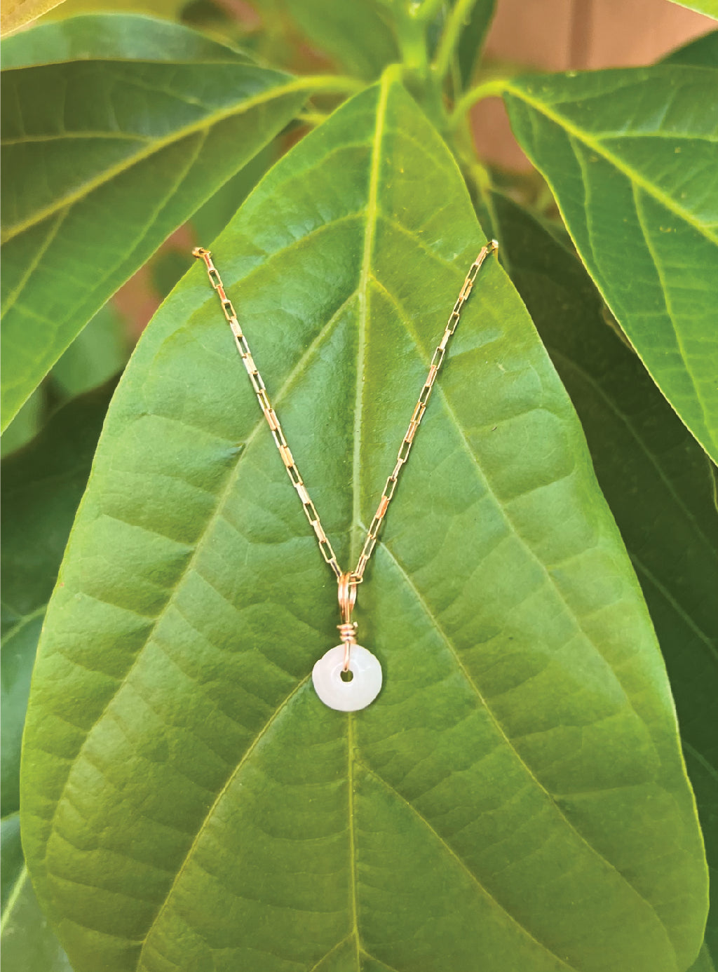 14 Kt Gold-Filled Chain With Small White Puka Shell